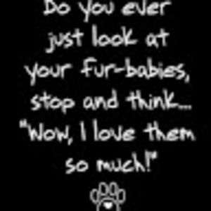 Meet your Posher, Wendy